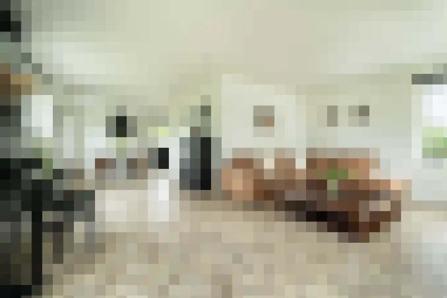 Sleedoorn 7 Heiloo thumbnail 9
