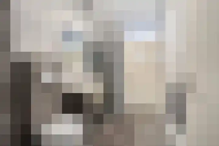Sleedoorn 74 Cuijk thumbnail 10