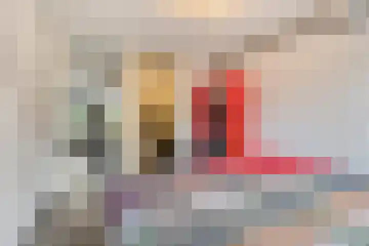 Sleedoorn 74 Cuijk thumbnail 13