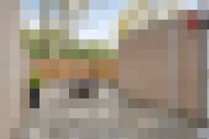 Sleedoorn 74 Cuijk thumbnail 15