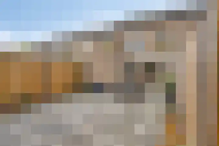 Sleedoorn 74 Cuijk thumbnail 16