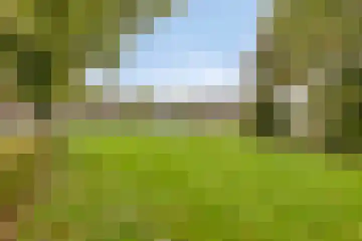 Sleedoorn 74 Cuijk thumbnail 17