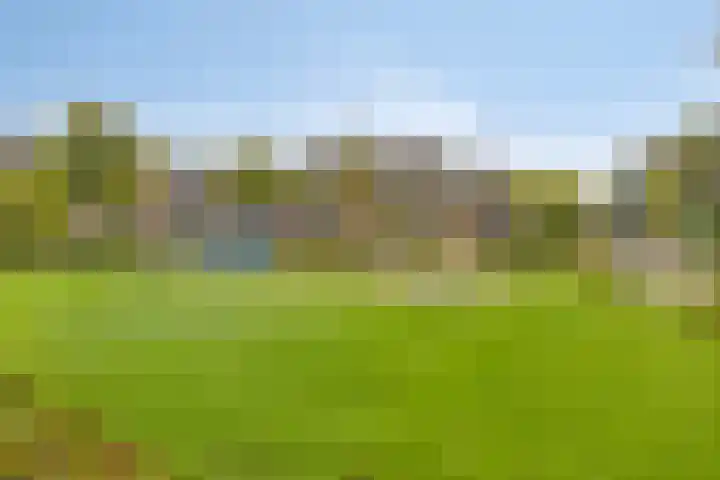 Sleedoorn 74 Cuijk thumbnail 18