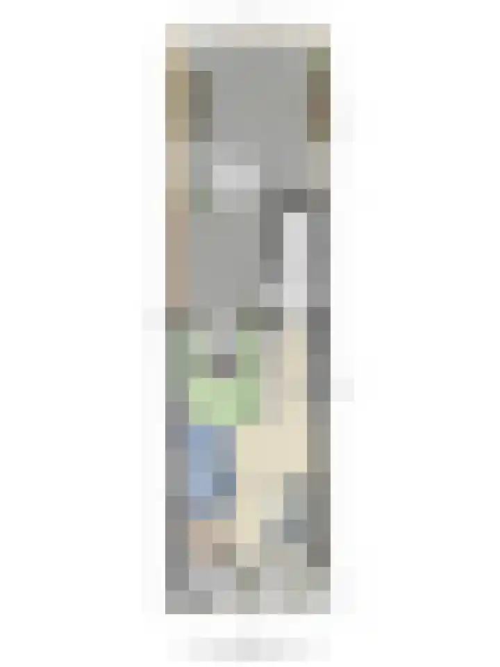 Sleedoorn 74 Cuijk thumbnail 21