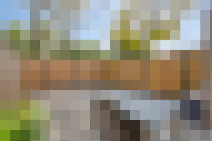 Sleedoorn 74 Cuijk thumbnail 4