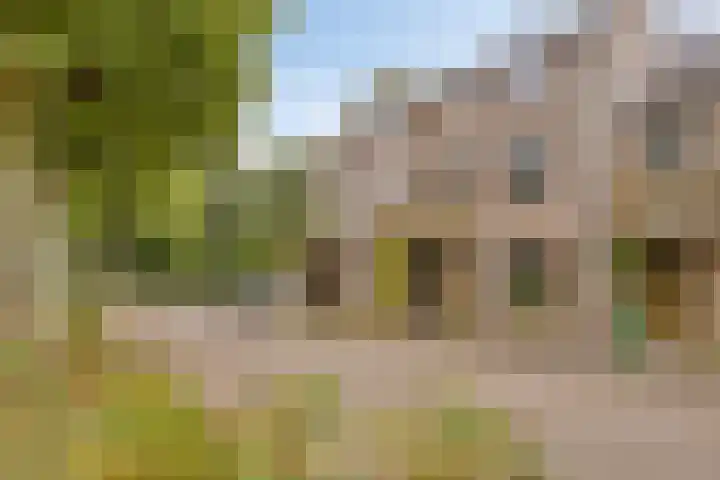 Sleedoorn 74 Cuijk thumbnail 5