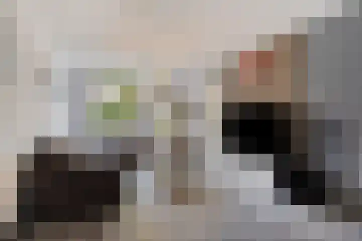 Sleedoorn 74 Cuijk thumbnail 7