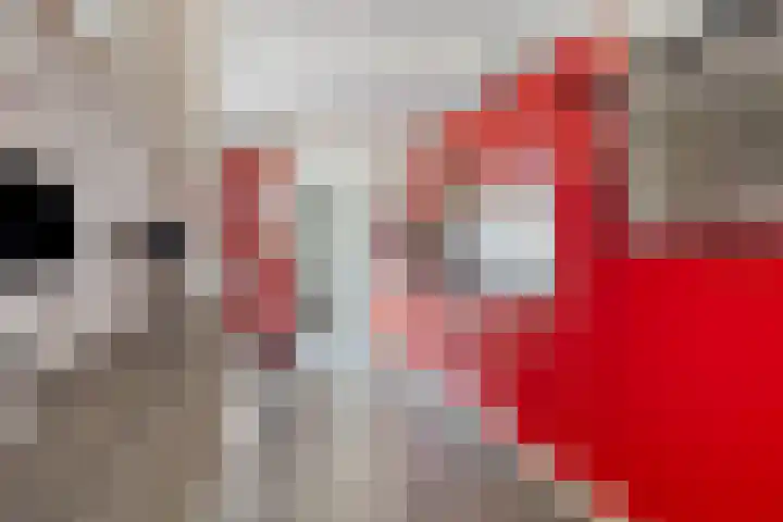 Sleedoorn 74 Cuijk thumbnail 8
