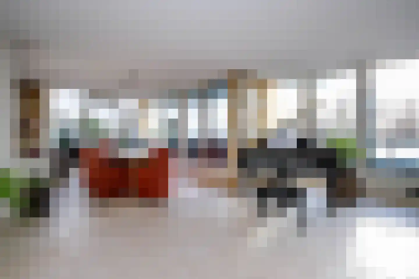 Sleedoorn 75 Bergambacht thumbnail 11
