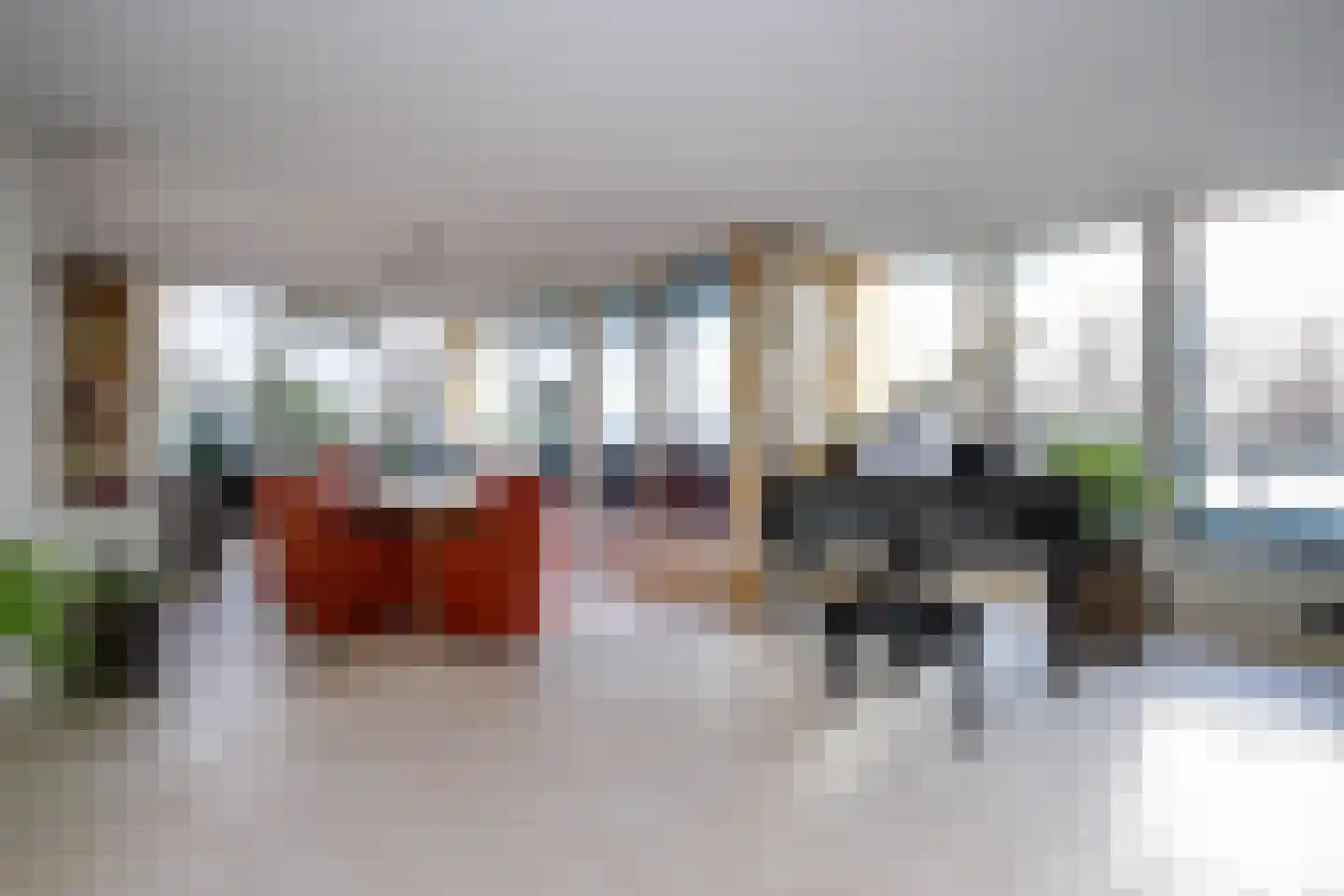Sleedoorn 75 Bergambacht thumbnail 11