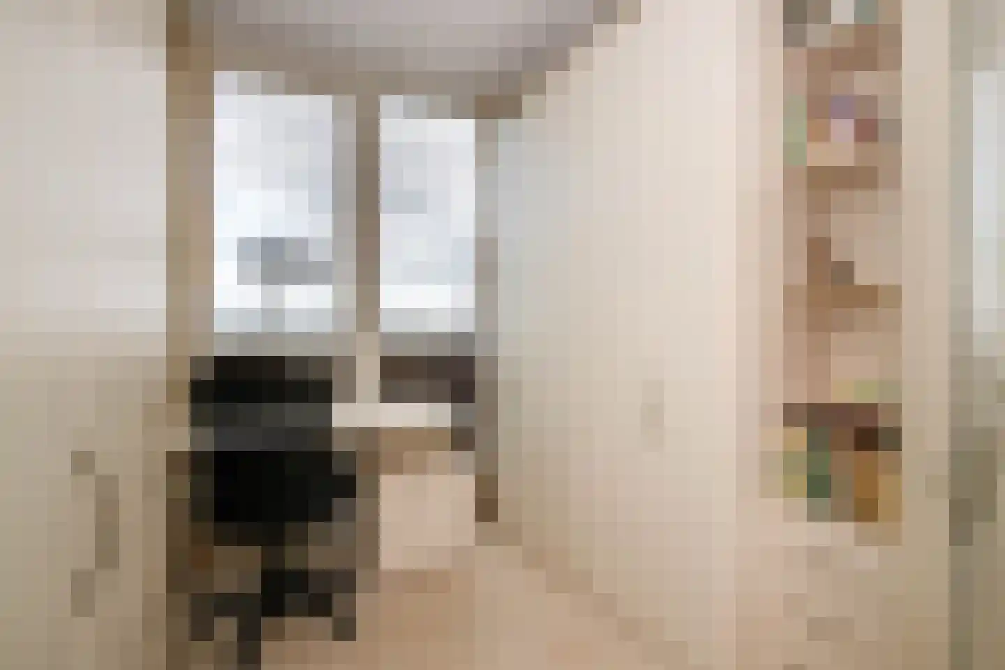 Sleedoorn 75 Bergambacht thumbnail 17