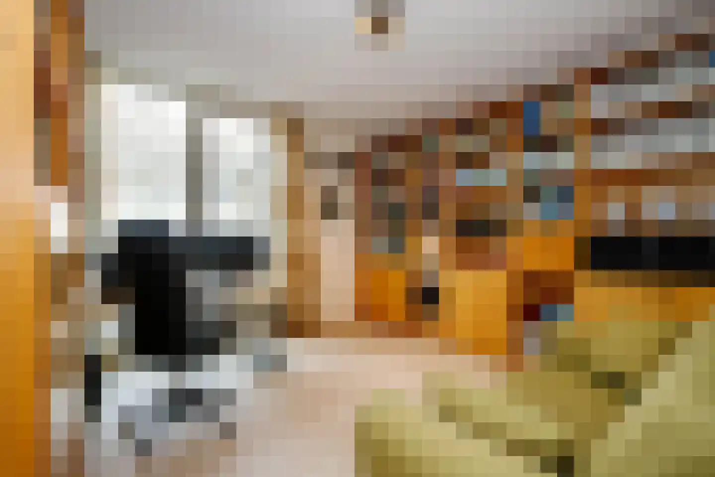 Sleedoorn 75 Bergambacht thumbnail 19