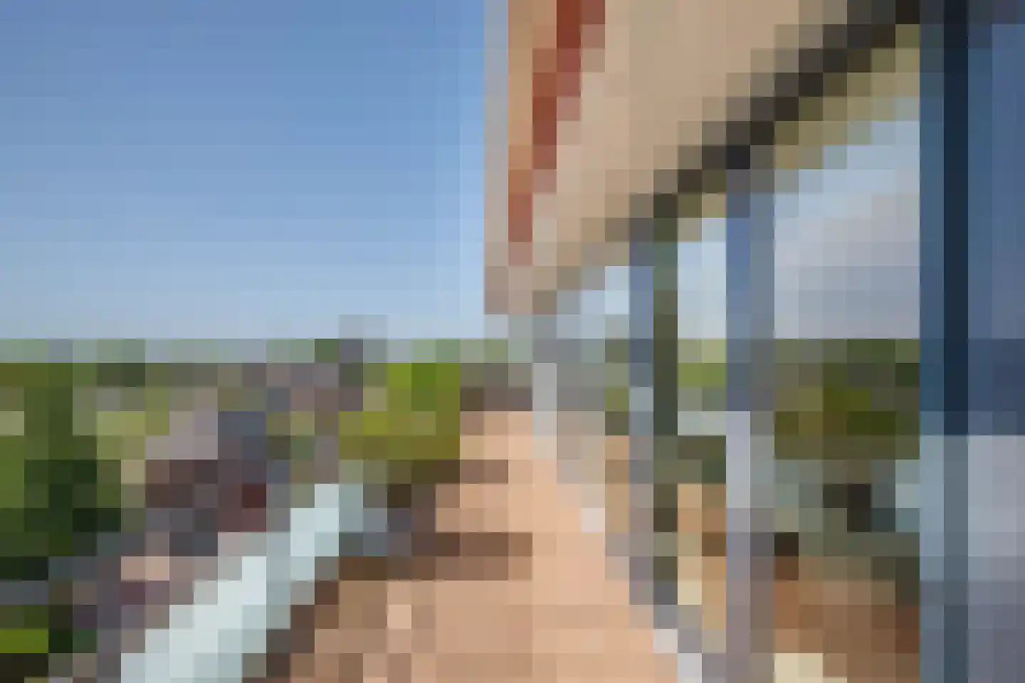 Sleedoorn 75 Bergambacht thumbnail 23