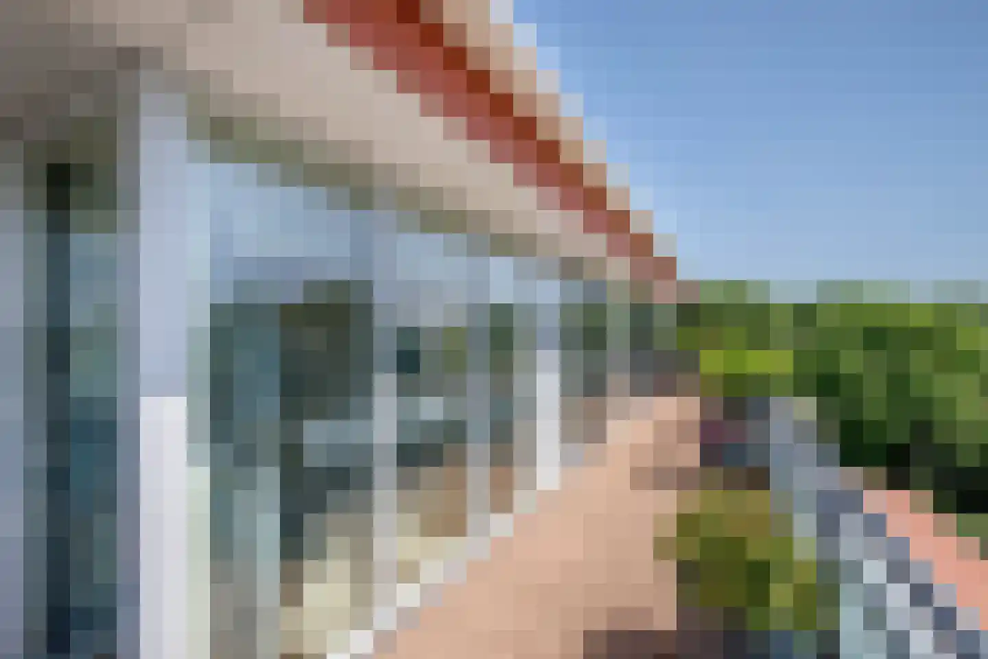 Sleedoorn 75 Bergambacht thumbnail 24