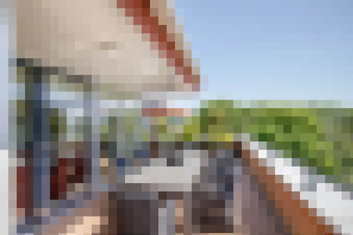 Sleedoorn 75 Bergambacht thumbnail 25