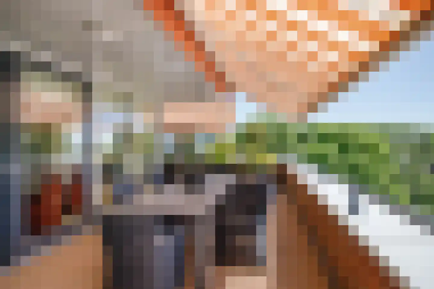 Sleedoorn 75 Bergambacht thumbnail 26