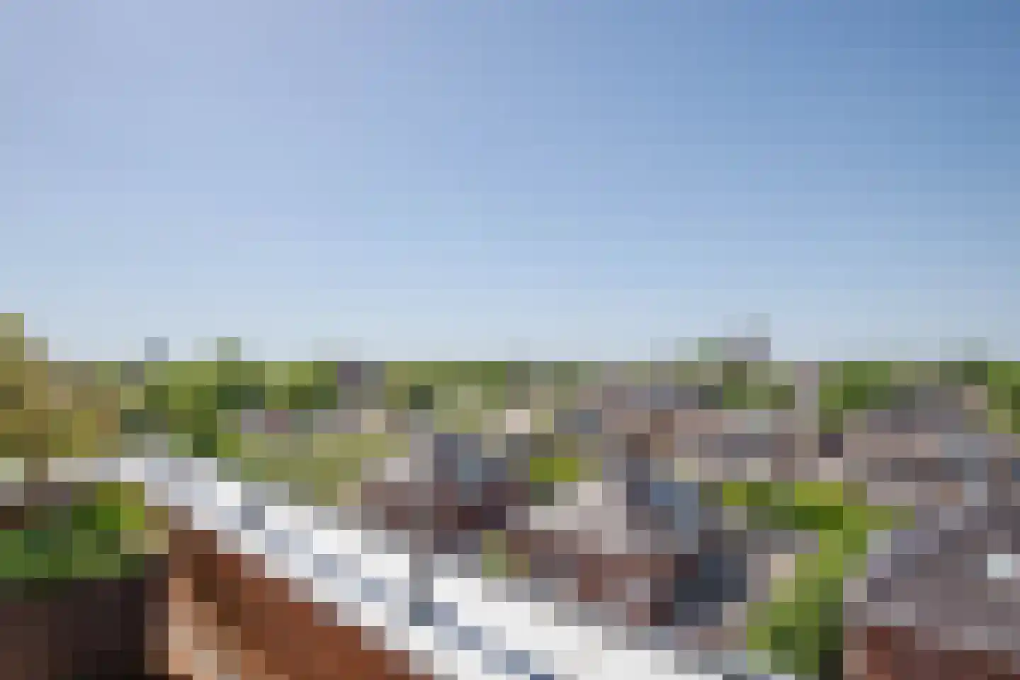 Sleedoorn 75 Bergambacht thumbnail 28