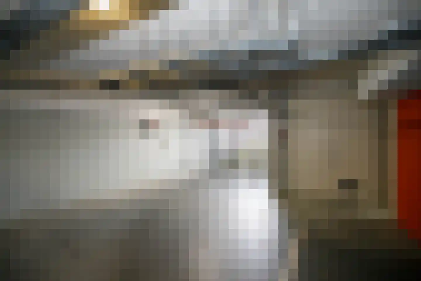 Sleedoorn 75 Bergambacht thumbnail 30