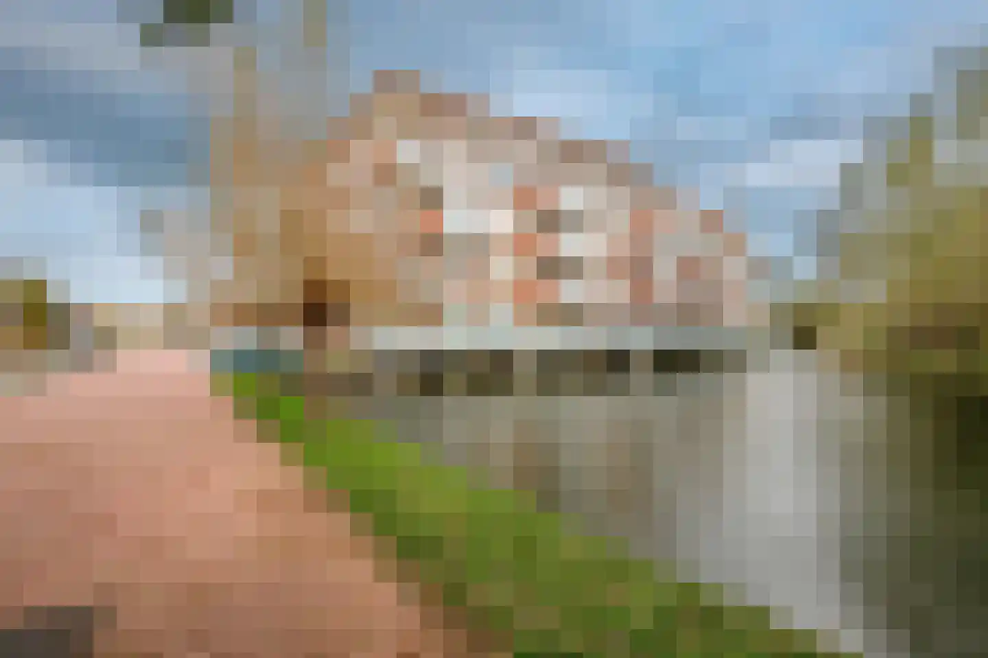 Sleedoorn 75 Bergambacht thumbnail 35