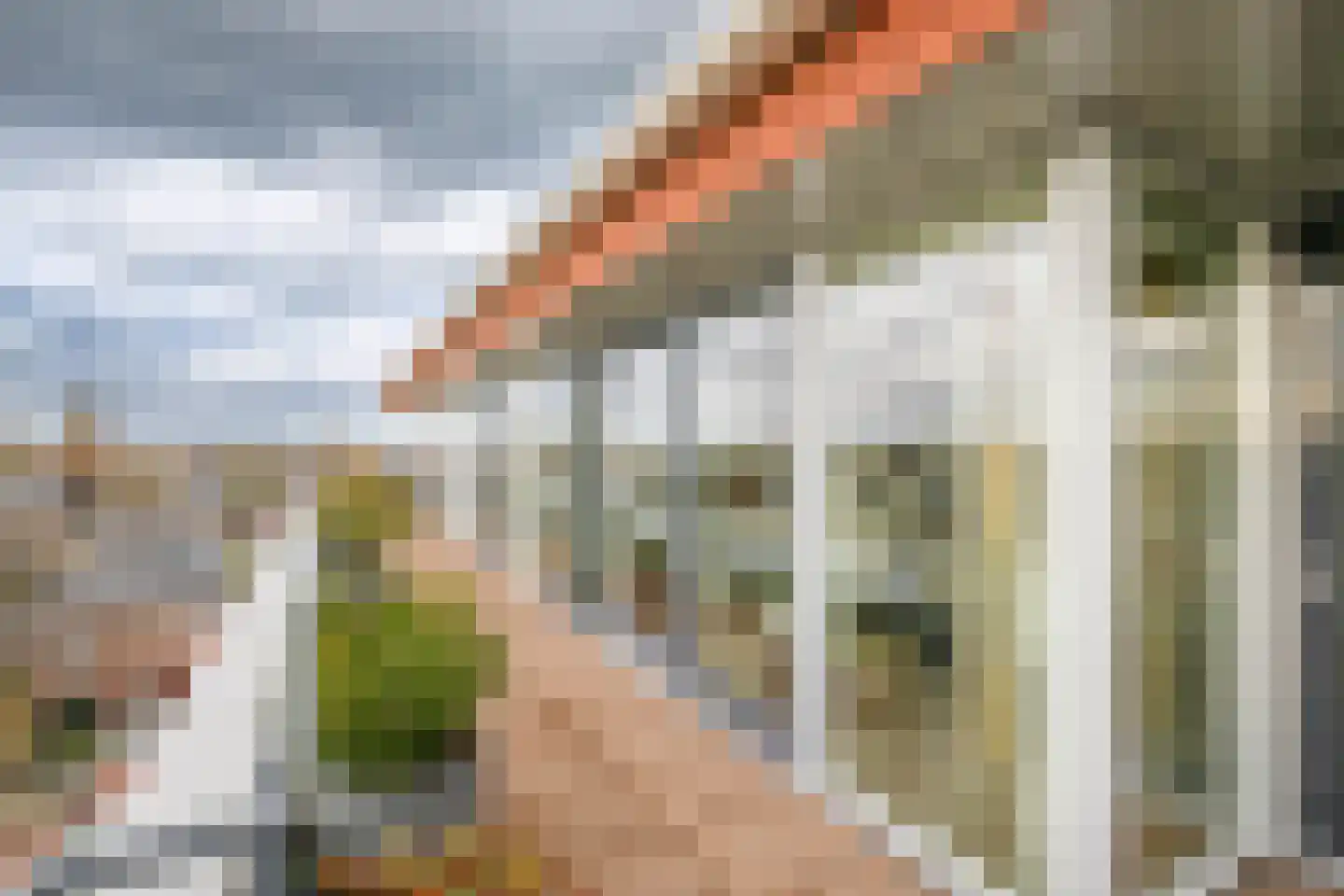 Sleedoorn 75 Bergambacht thumbnail 36