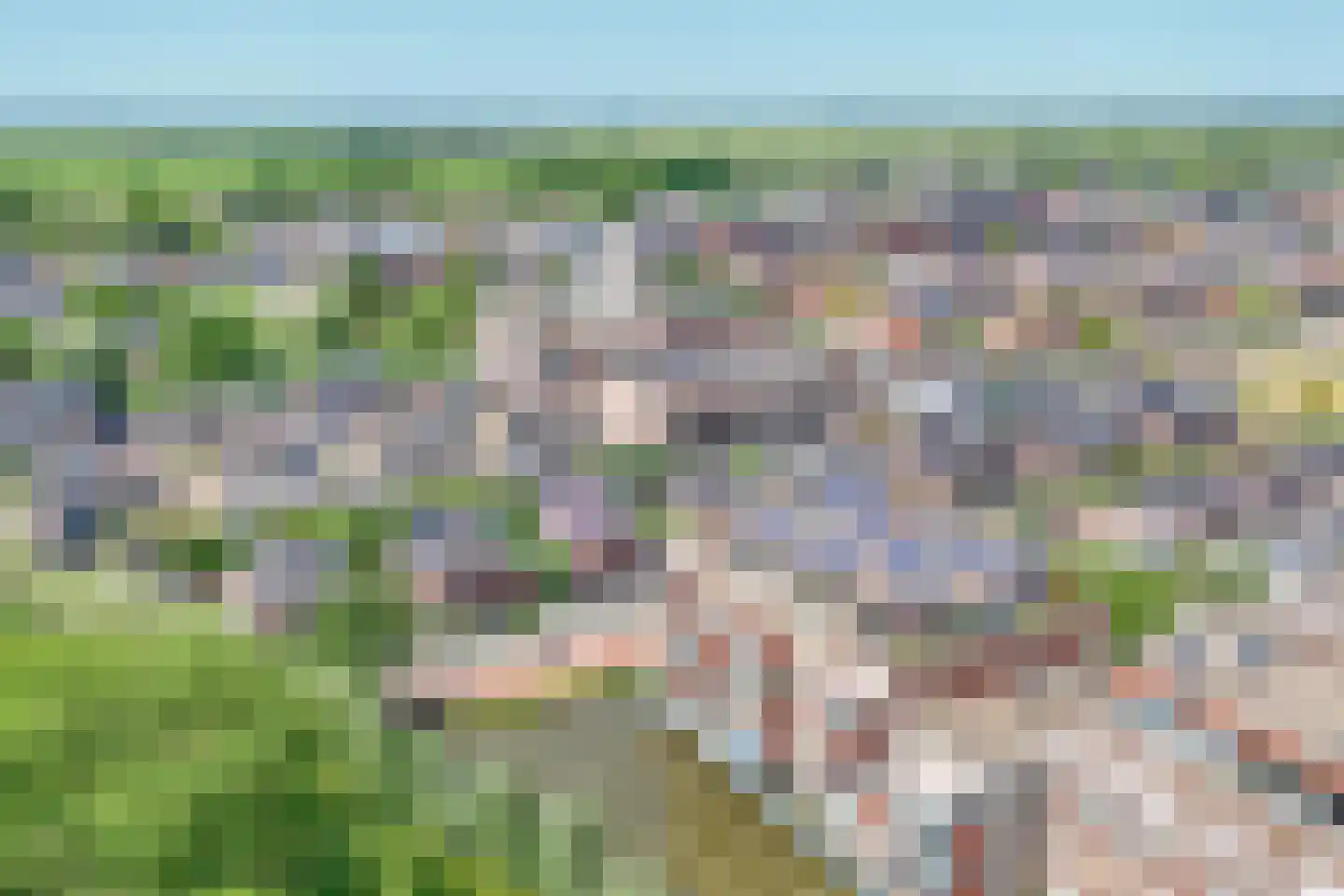Sleedoorn 75 Bergambacht thumbnail 4