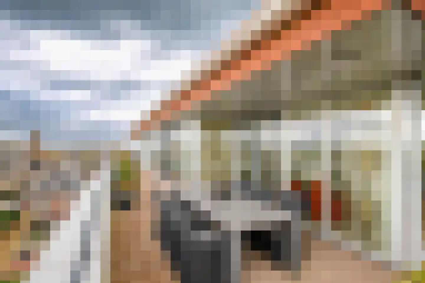 Sleedoorn 75 Bergambacht thumbnail 40