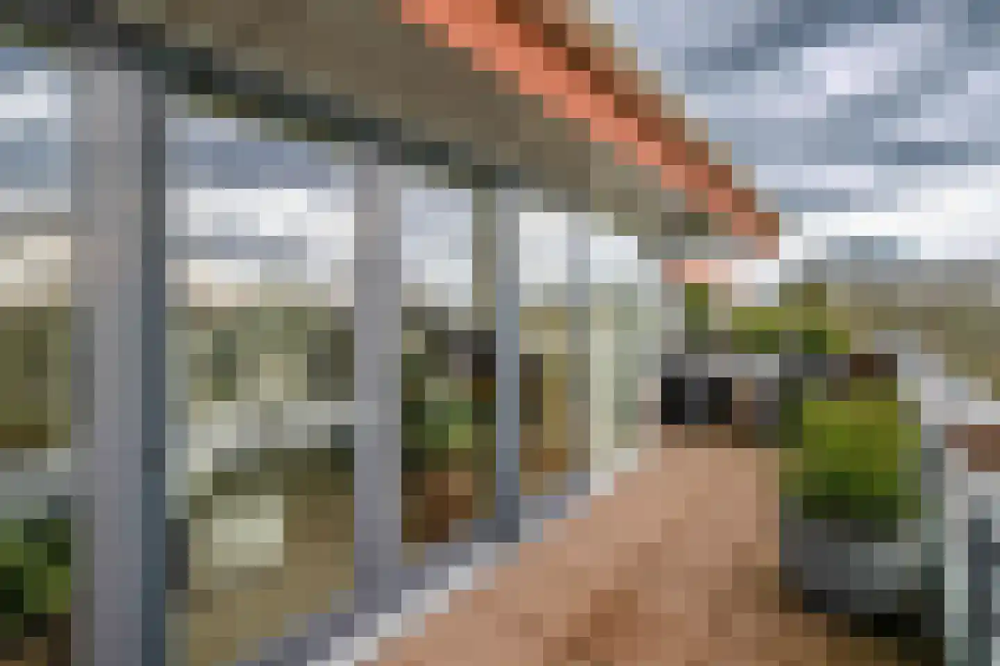 Sleedoorn 75 Bergambacht thumbnail 41