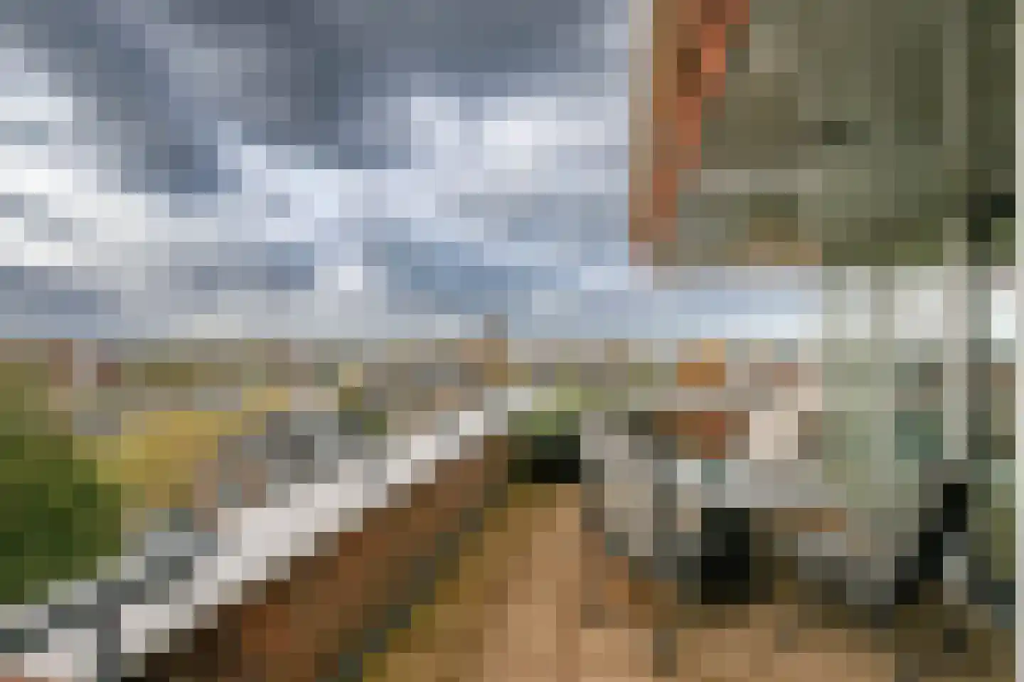 Sleedoorn 75 Bergambacht thumbnail 42