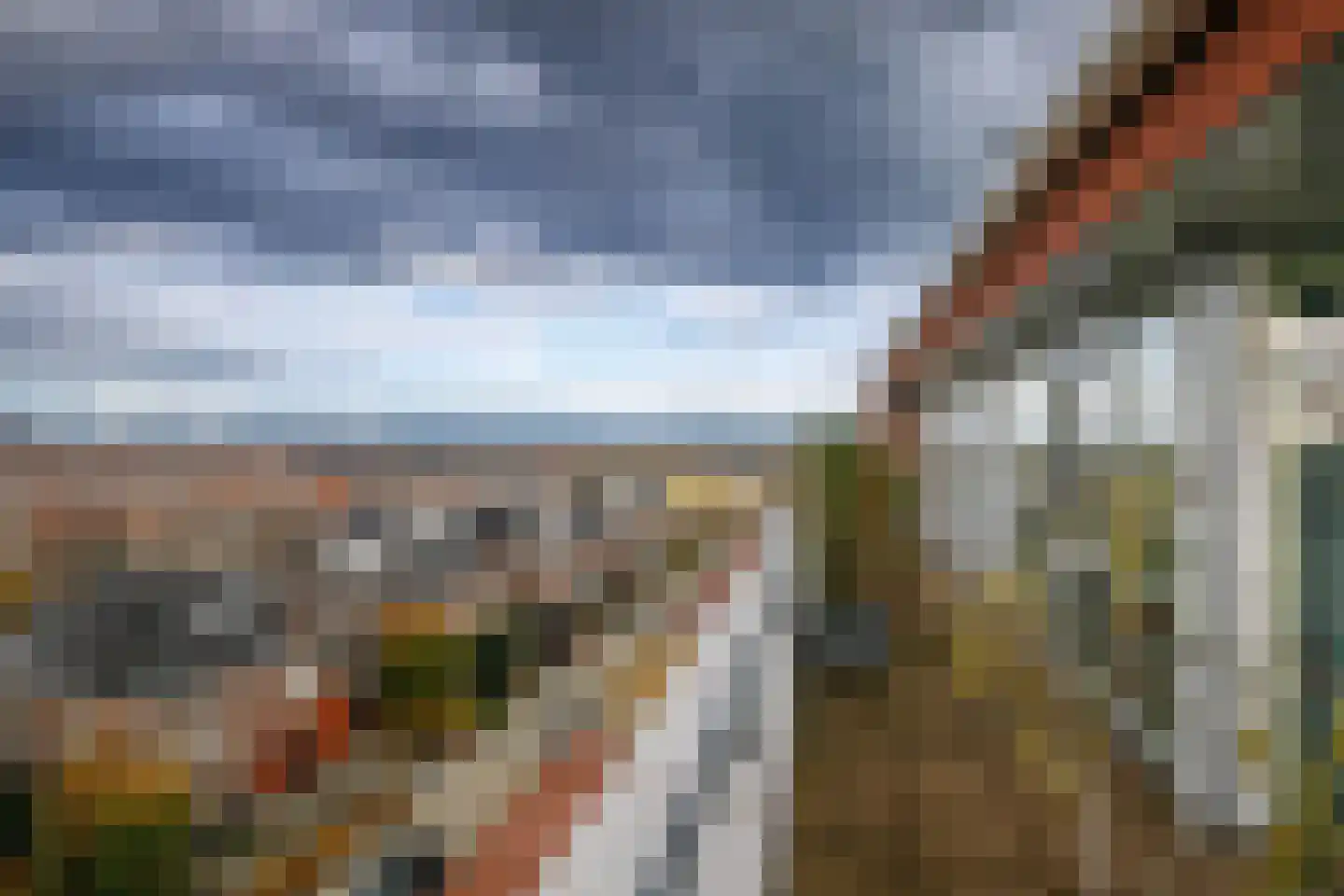 Sleedoorn 75 Bergambacht thumbnail 43