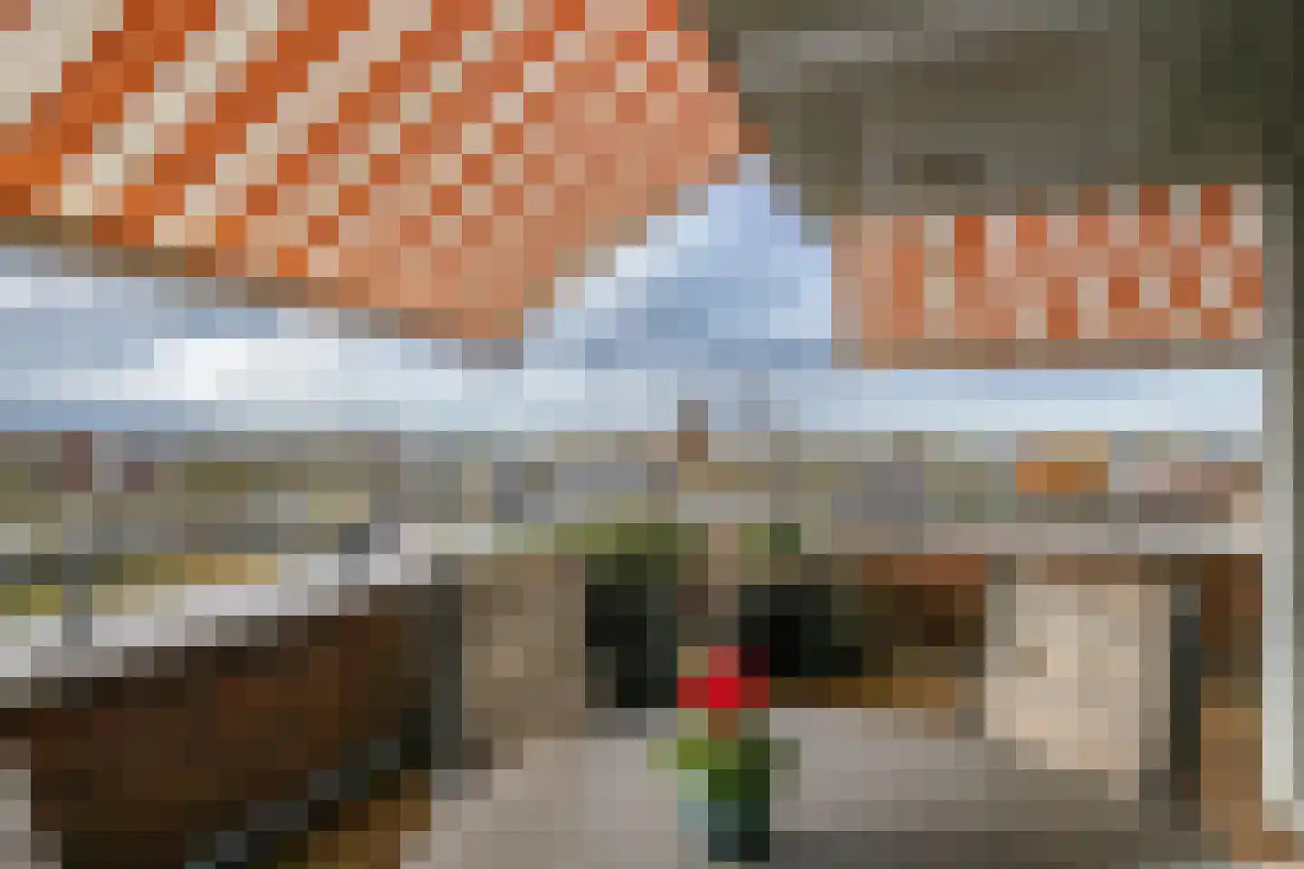 Sleedoorn 75 Bergambacht thumbnail 47