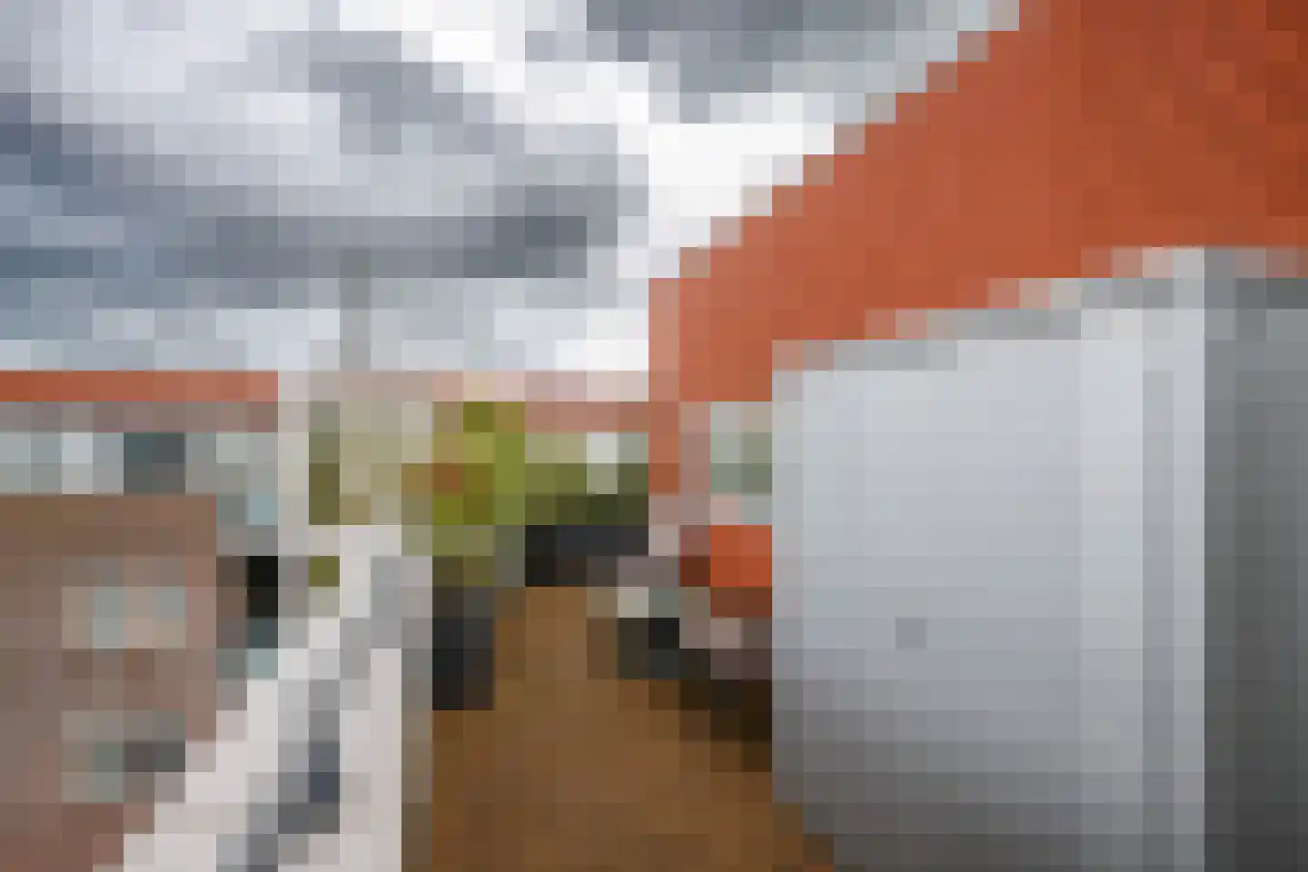 Sleedoorn 75 Bergambacht thumbnail 48