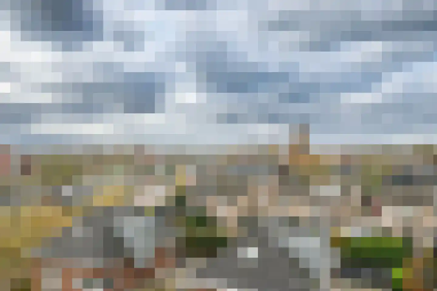 Sleedoorn 75 Bergambacht thumbnail 49