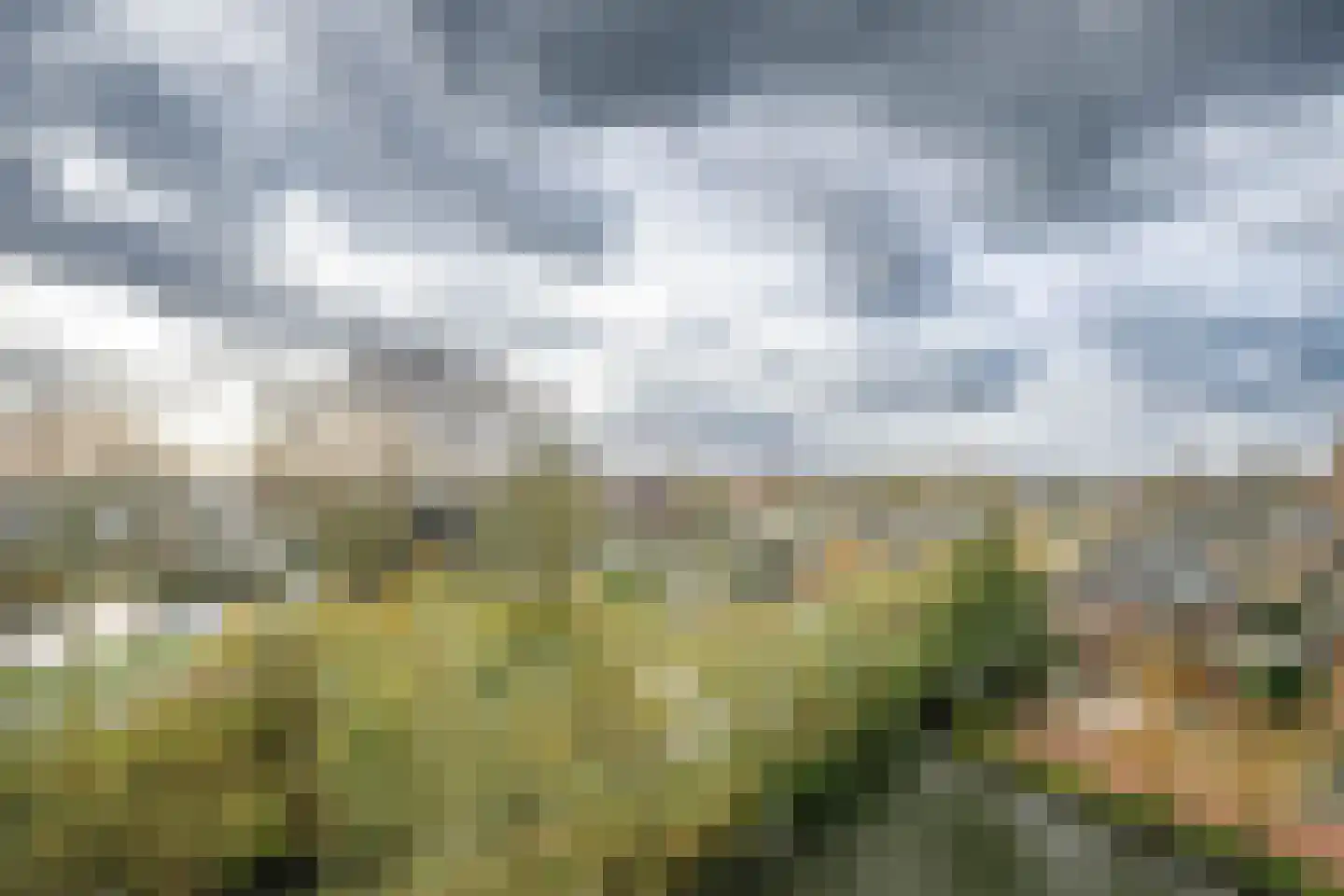 Sleedoorn 75 Bergambacht thumbnail 50