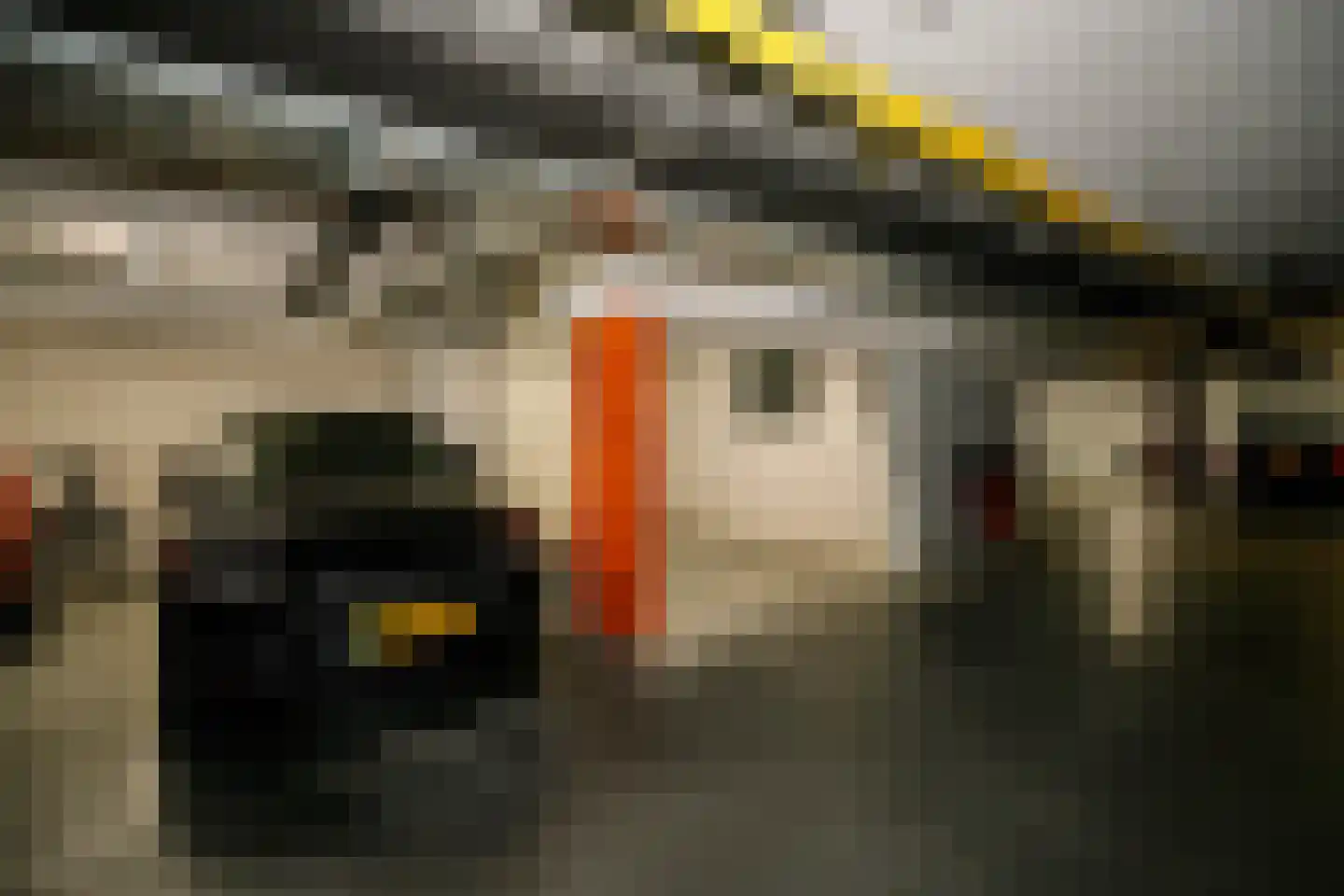 Sleedoorn 75 Bergambacht thumbnail 51