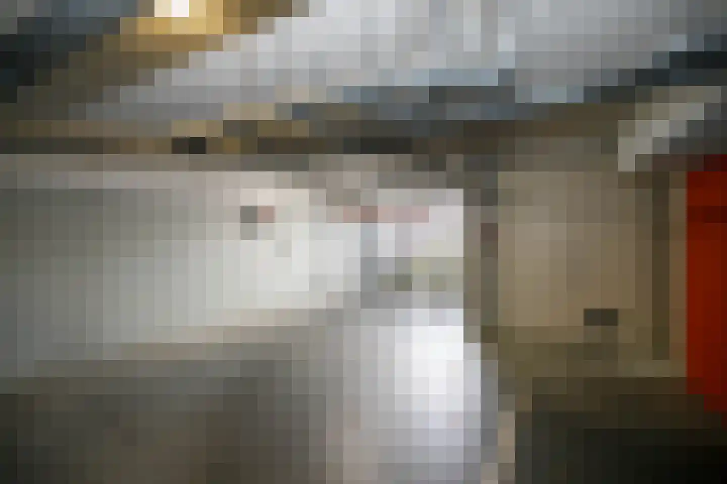 Sleedoorn 75 Bergambacht thumbnail 54