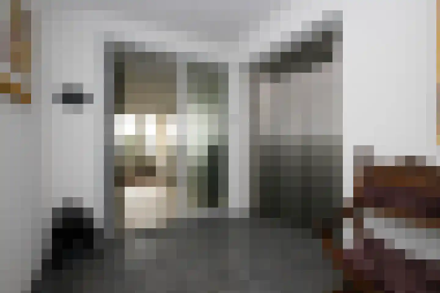 Sleedoorn 75 Bergambacht thumbnail 6