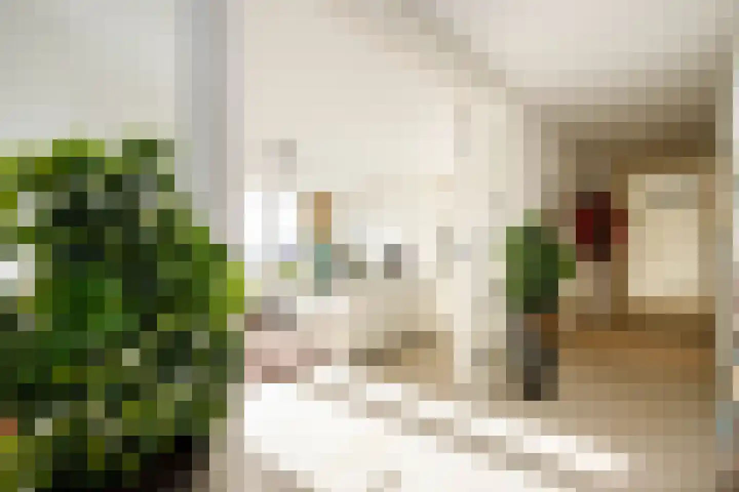 Sleedoorn 75 Bergambacht thumbnail 7
