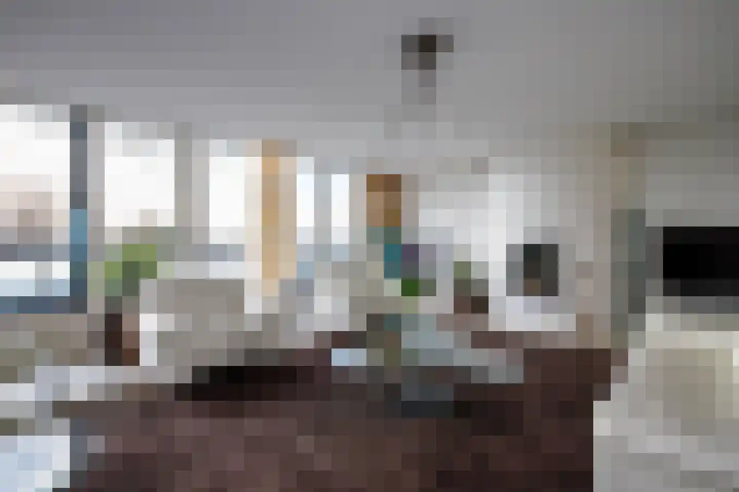 Sleedoorn 75 Bergambacht thumbnail 8