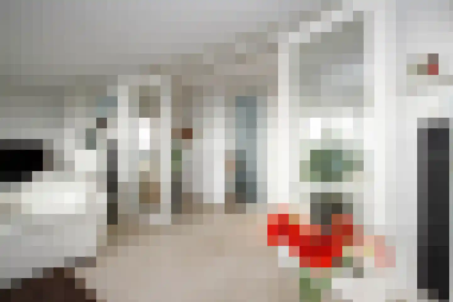 Sleedoorn 75 Bergambacht thumbnail 9