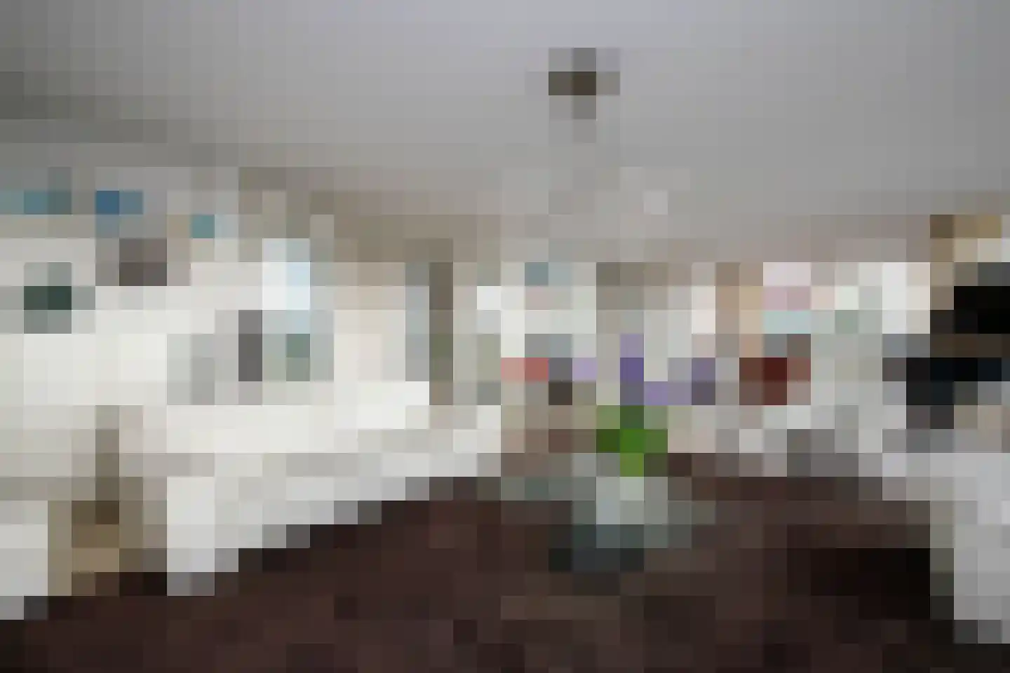 Sleedoorn 75 Bergambacht thumbnail 9