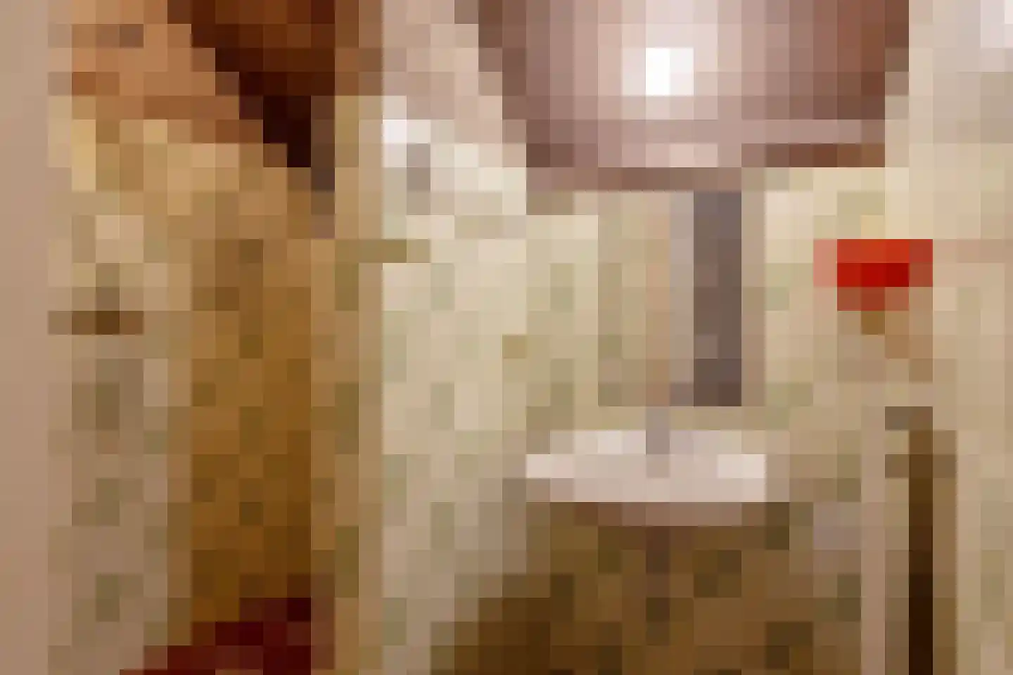 Sleedoorn 8 Geldrop thumbnail 21