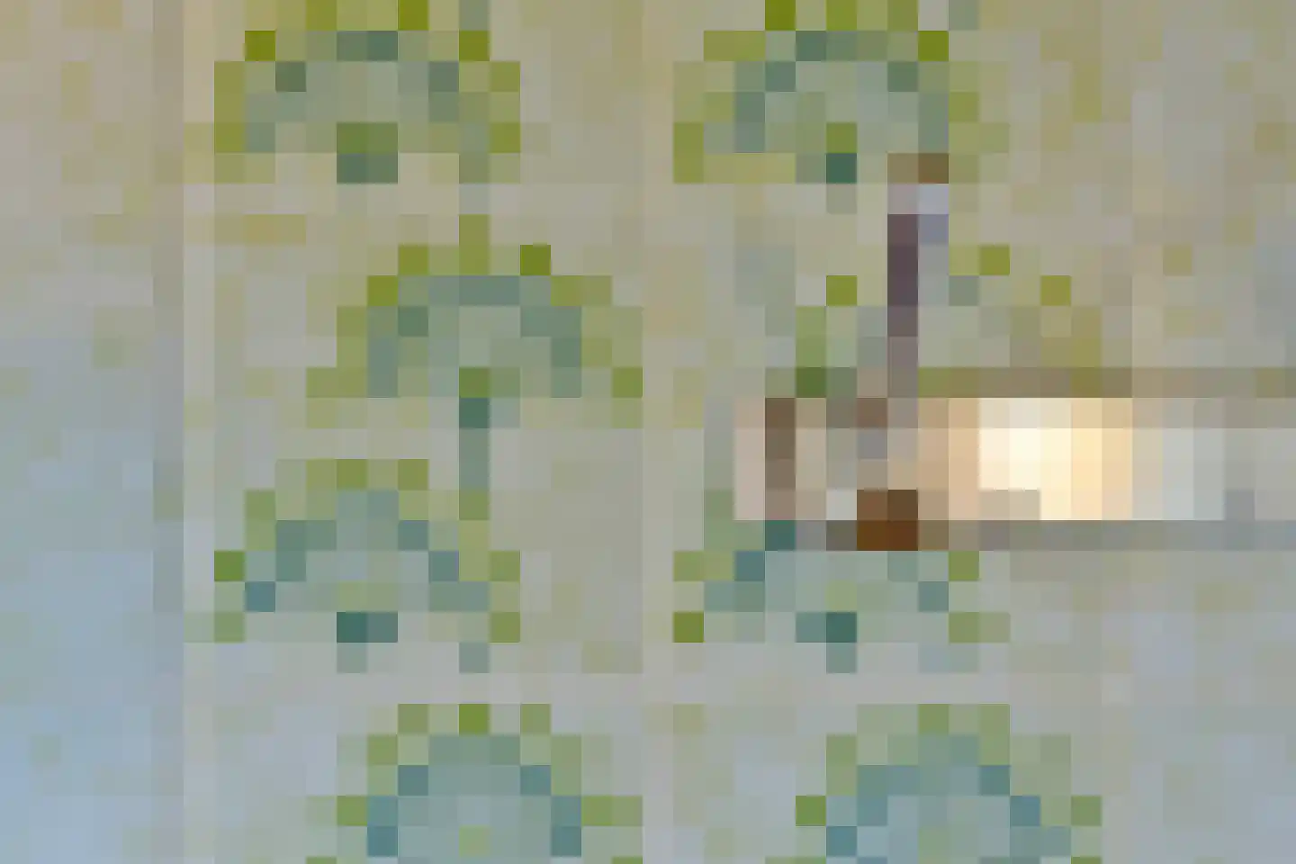 Sleedoorn 8 Geldrop thumbnail 22