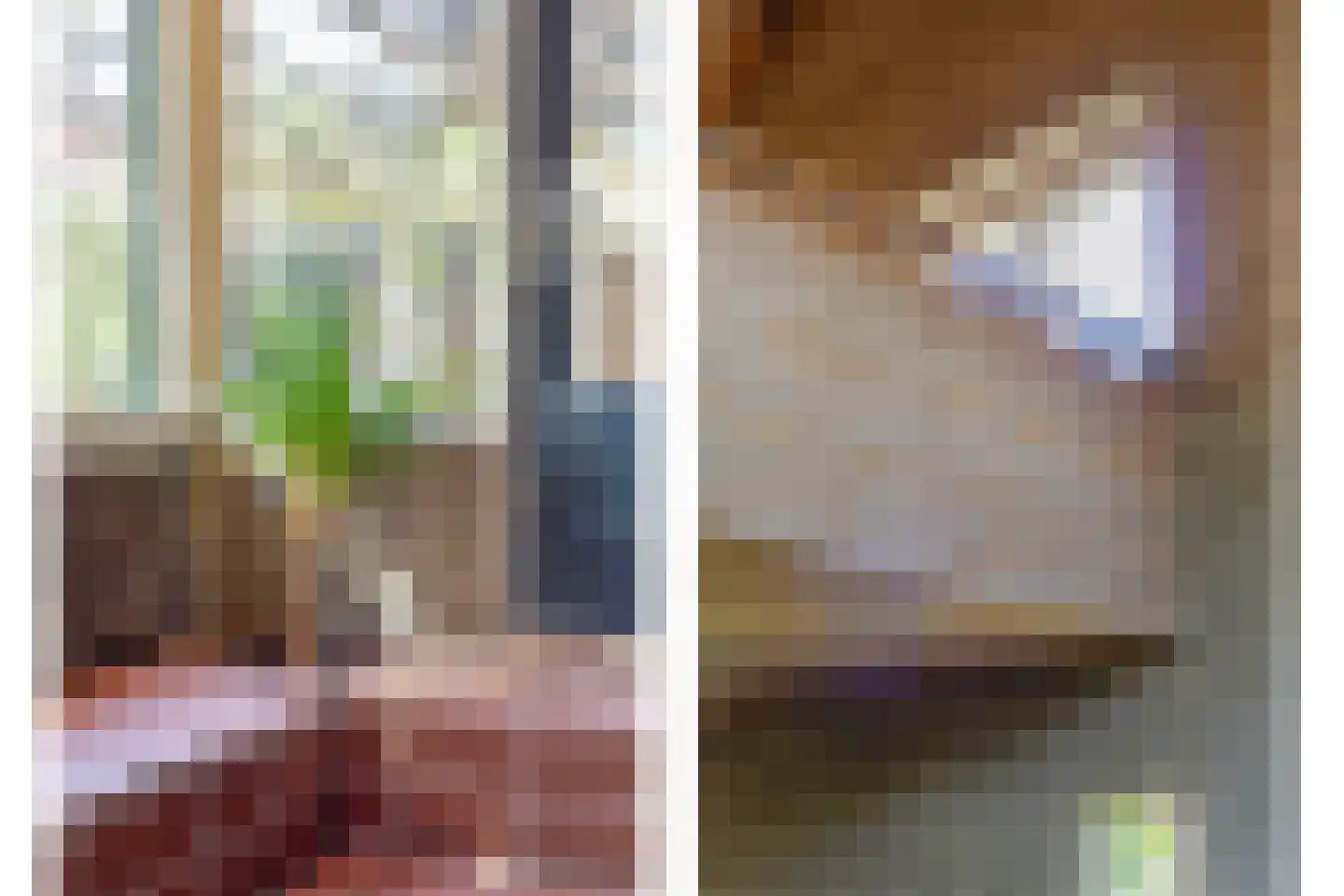 Sleedoorn 8 Geldrop thumbnail 25