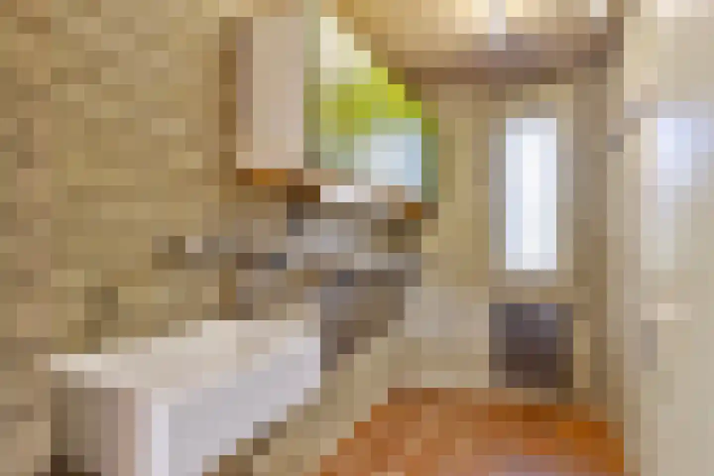 Sleedoorn 8 Geldrop thumbnail 26