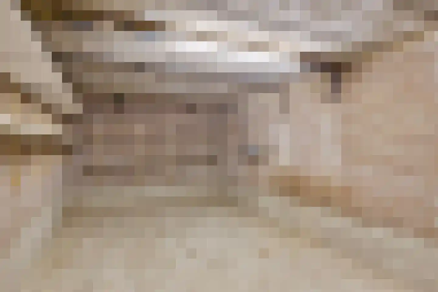Sleedoorn 8 Geldrop thumbnail 46