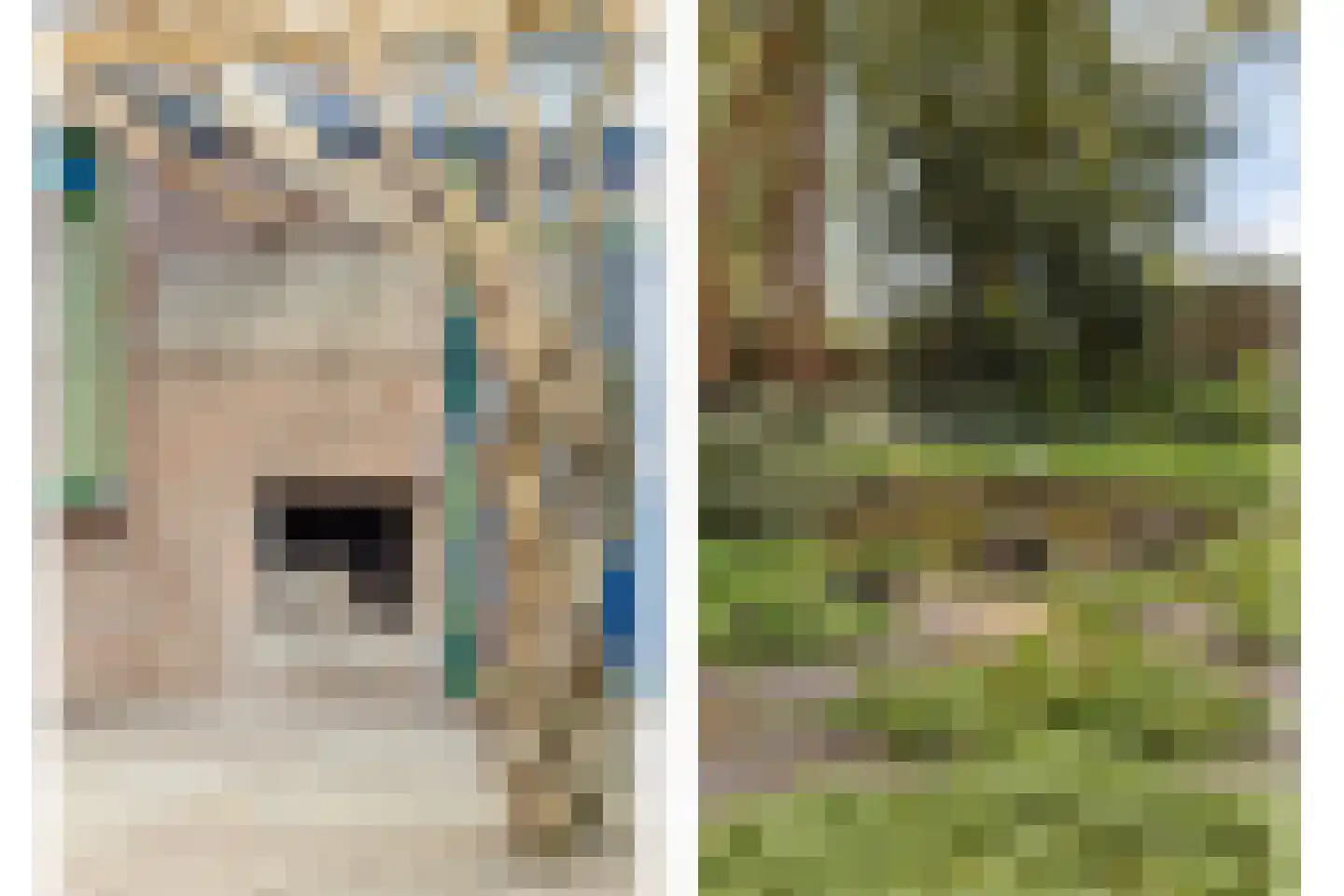 Sleedoorn 8 Geldrop thumbnail 47