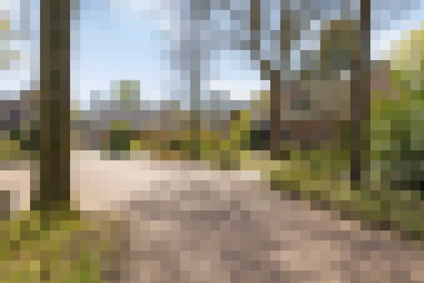 Sleedoorn 8 Geldrop thumbnail 51