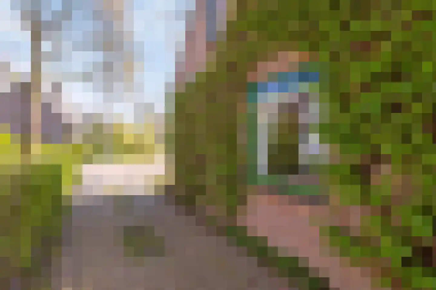 Sleedoorn 8 Geldrop thumbnail 52
