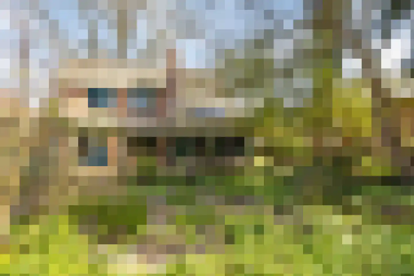 Sleedoorn 8 Geldrop thumbnail 57