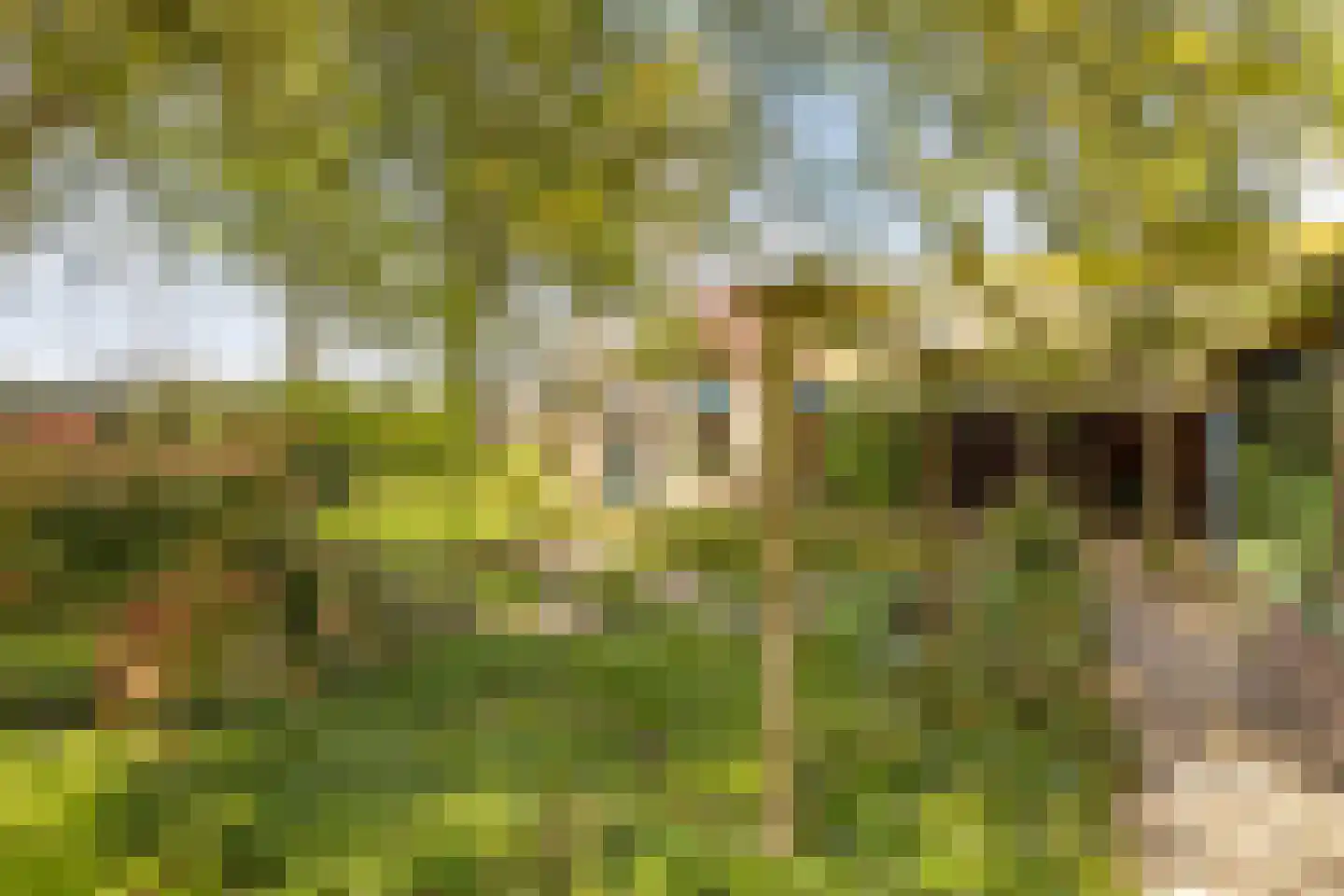 Sleedoorn 8 Geldrop thumbnail 60